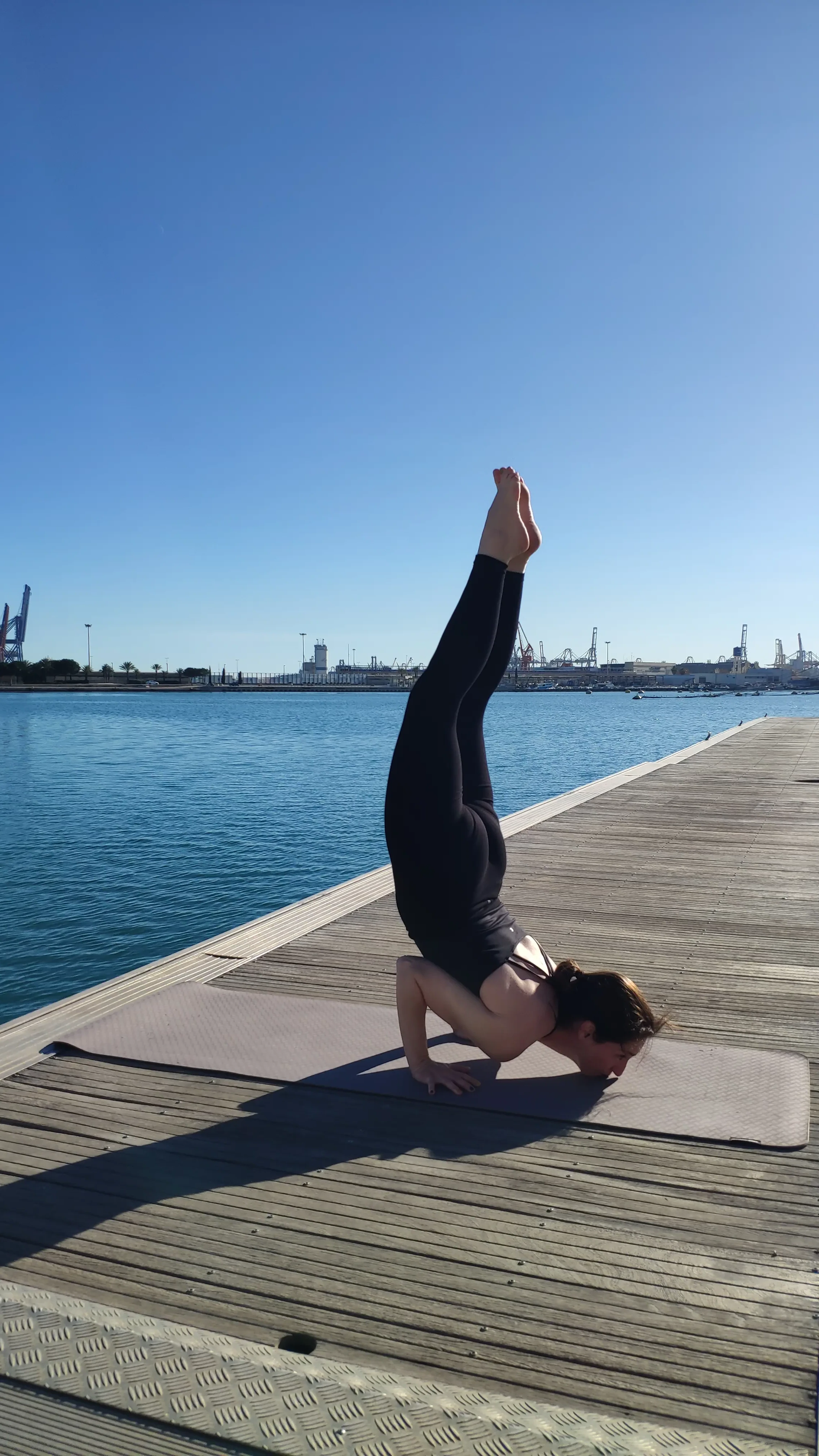 Ganda Bherundasana